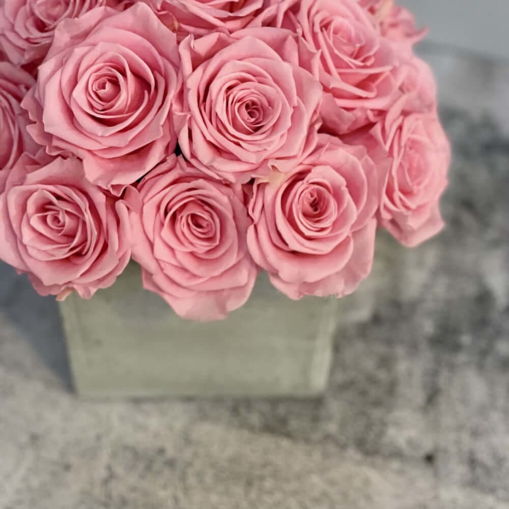 CEMENT POT: Everlasting Roses - Fleur Du Luxe