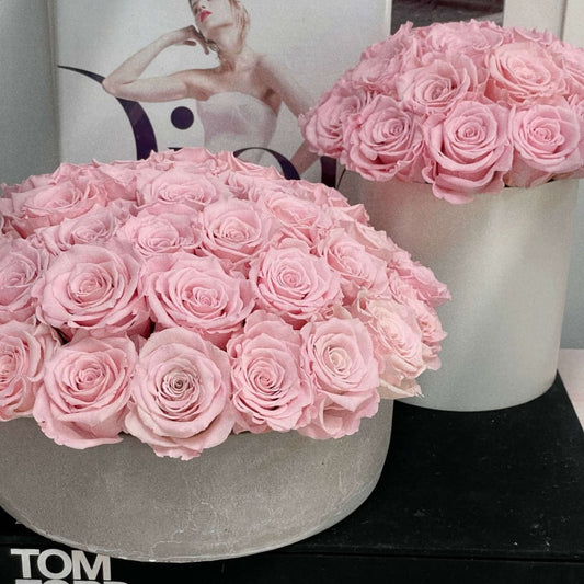 CEMENT POT: Everlasting Roses - Fleur Du Luxe