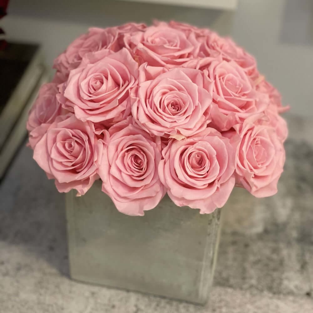 CEMENT POT: Everlasting Roses - Fleur Du Luxe