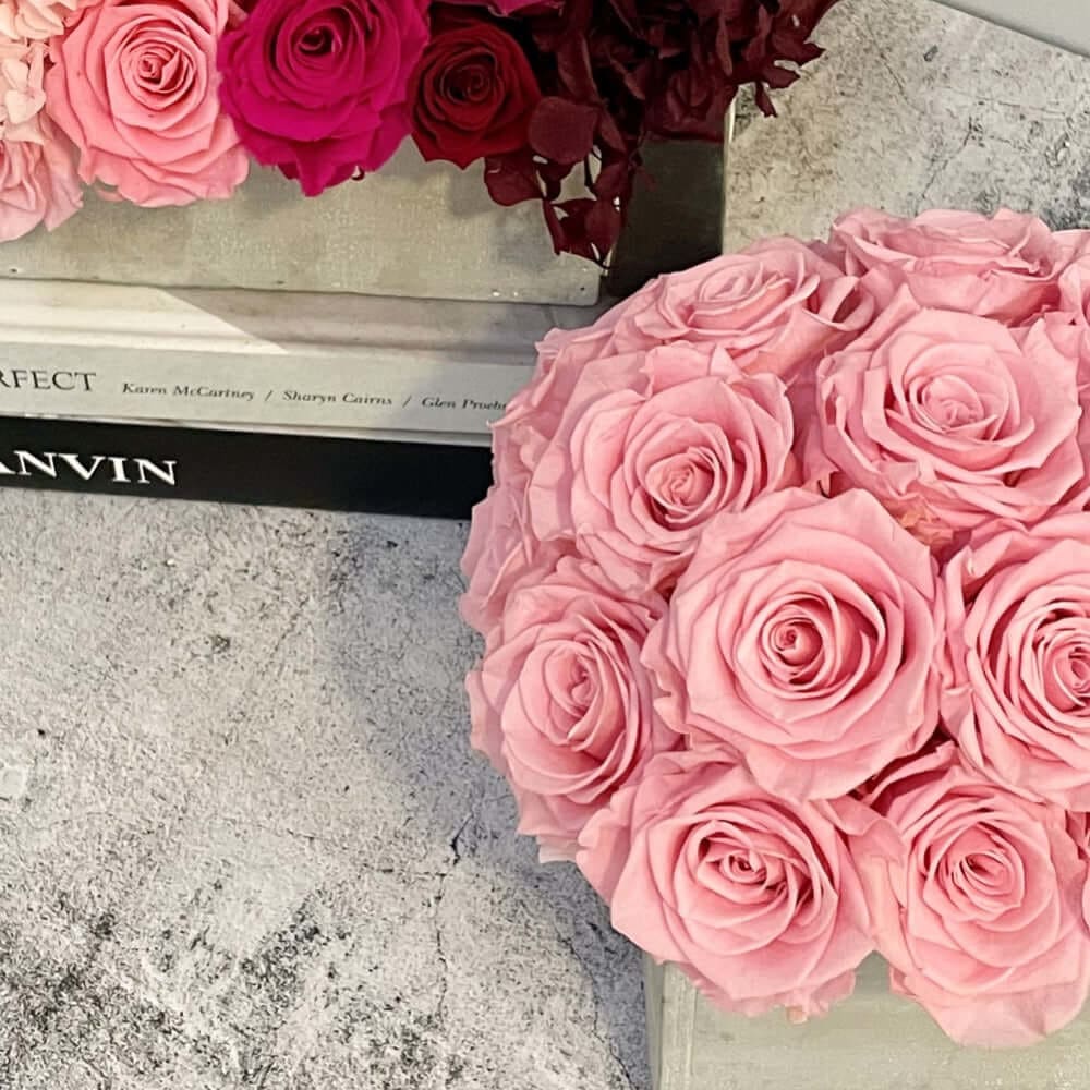 CEMENT POT: Everlasting Roses - Fleur Du Luxe