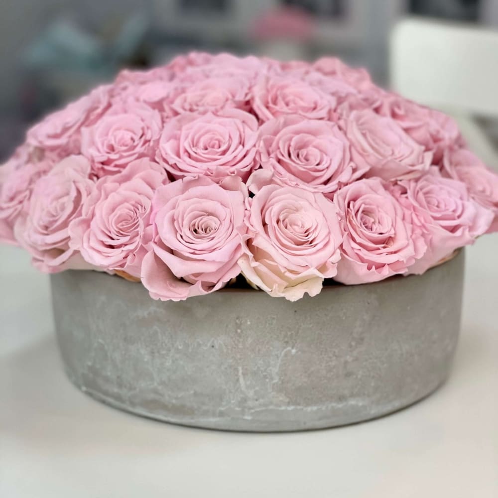 CEMENT POT: Everlasting Roses - Flowers