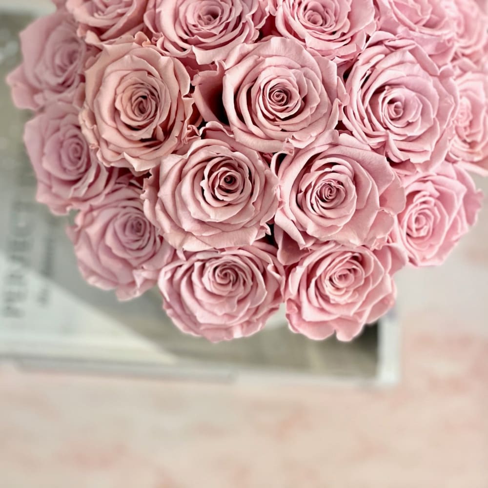 Everlasting Blue Roses in Dome - Pink / White - Flowers