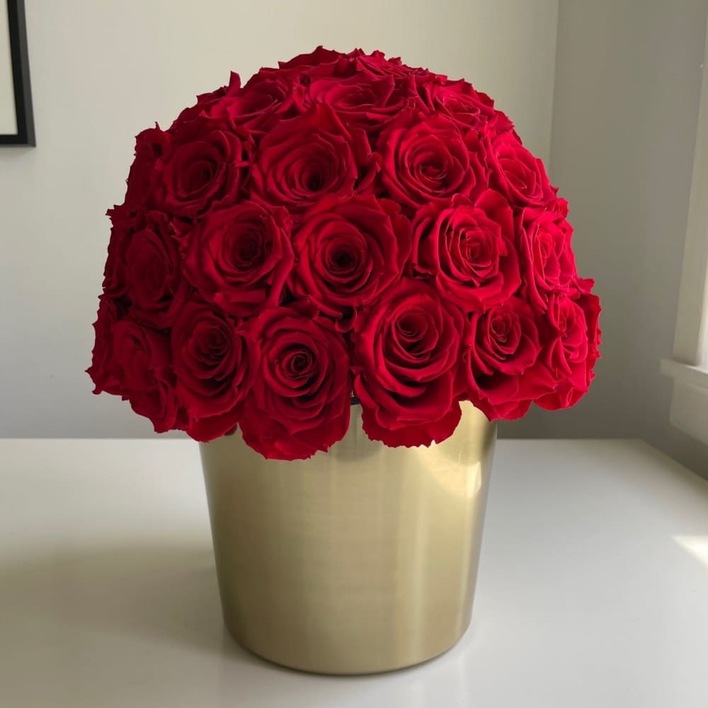 Everlasting Roses in a Dome |Gold Stainless Steel - Fleur Du Luxe
