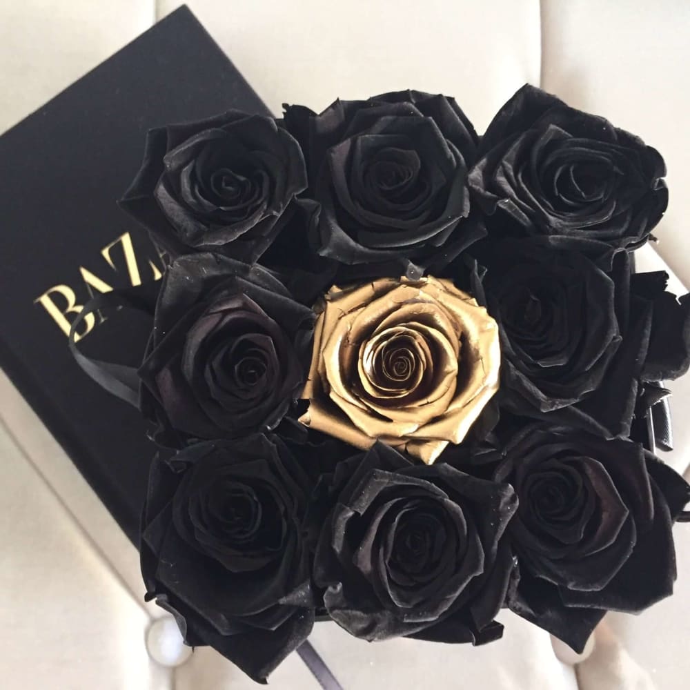 GOLD ROSES Square Box: Limited Edition - Black Velvet /