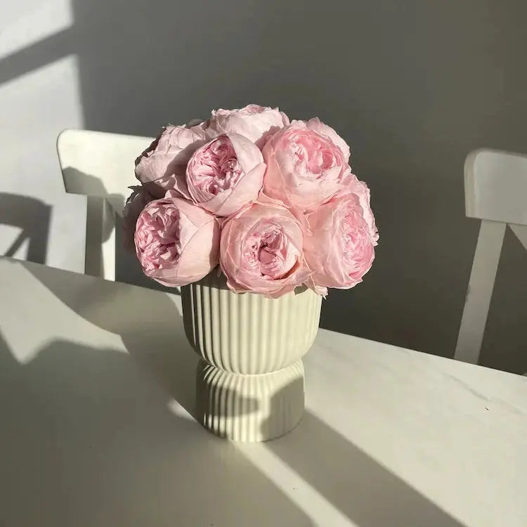 Bouquet of pink roses in a white vase on a white surface with a white chair in the background.