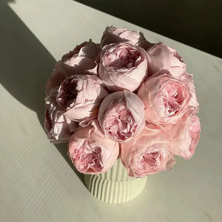 Bouquet of pink roses in a white vase on a light surface with a dark background