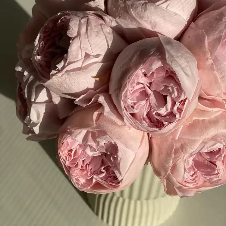 Close-up of pink flowers in a vase on a light green background