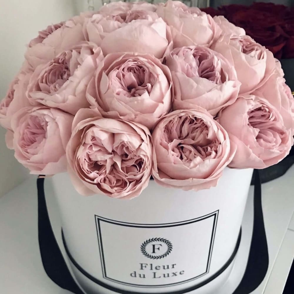 Preserved Pink Peonies in Round Box - Flowers