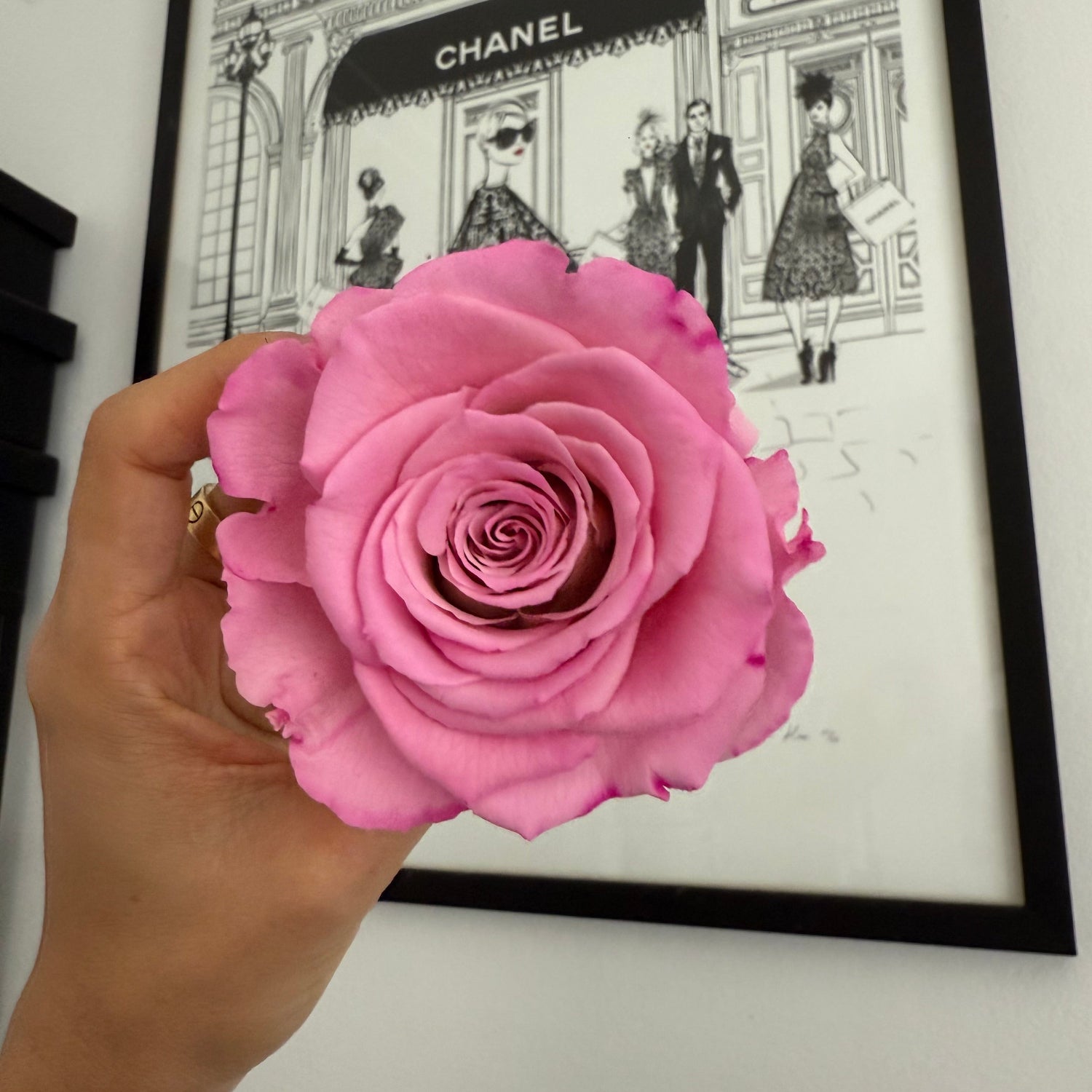 ROUND BOX : New York Bi - Colour Pink – Everlasting Real Roses in Round Hat Box - Fleur Du Luxe