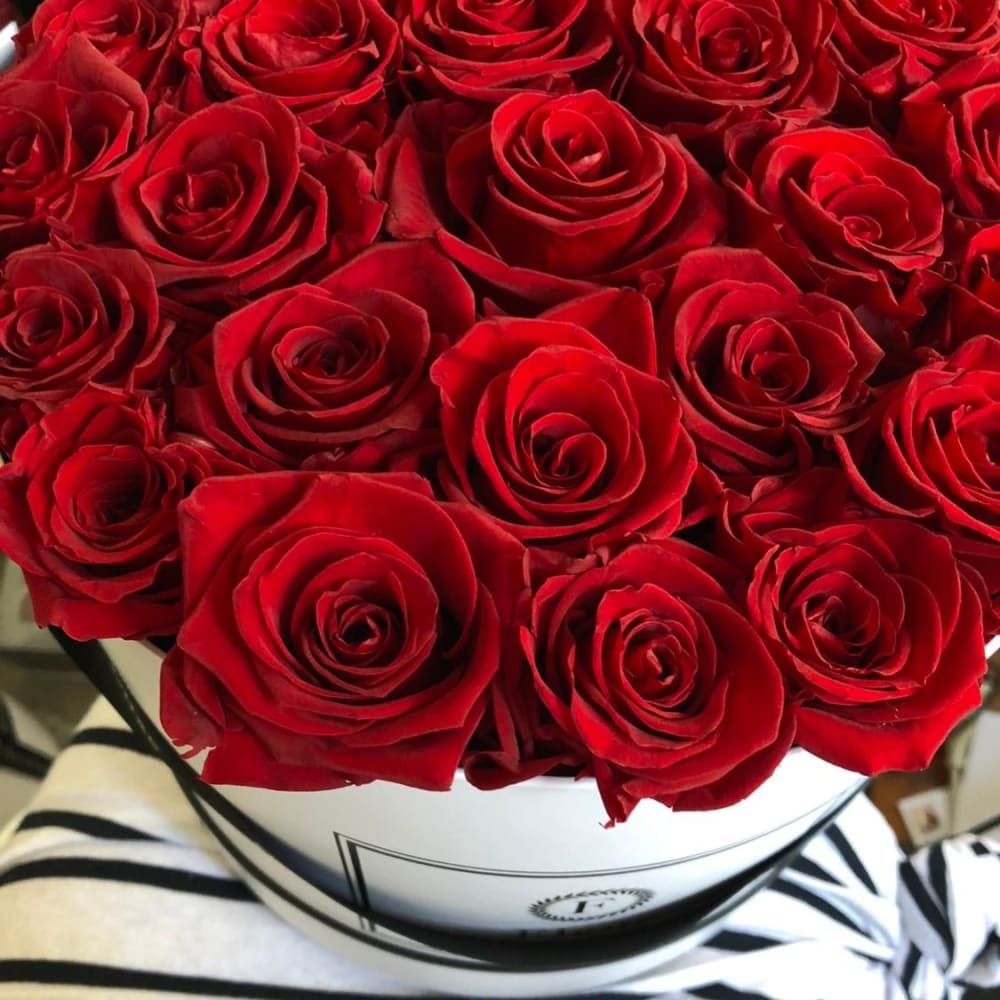 ROUND BOX: Signature Roses Red - Red / White - Flowers