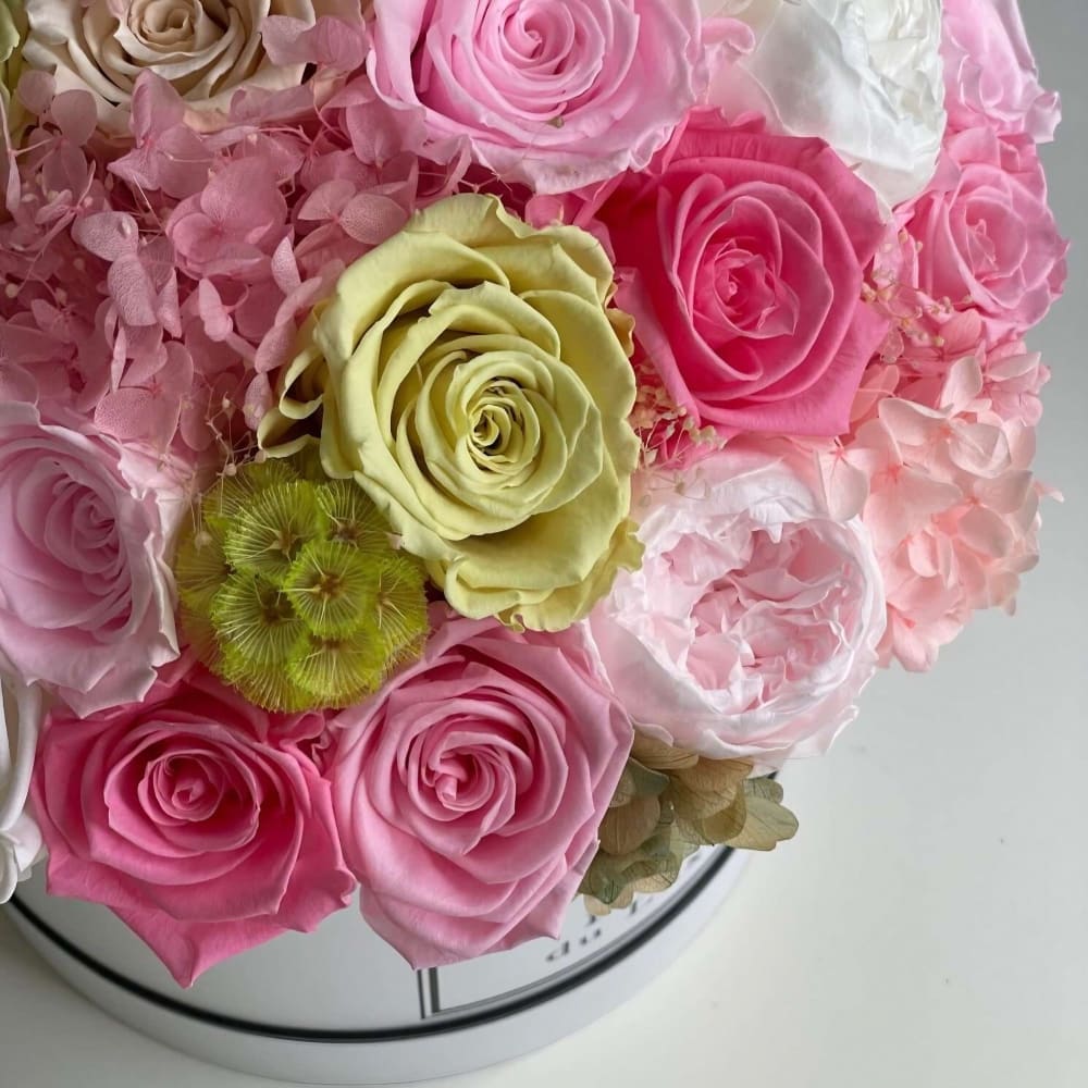 ROUND BOX: Summer Mix Preserved Flowers - Flowers